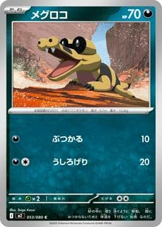 Sandile M02-053-080