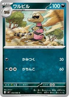 Krokorok M02-054-080